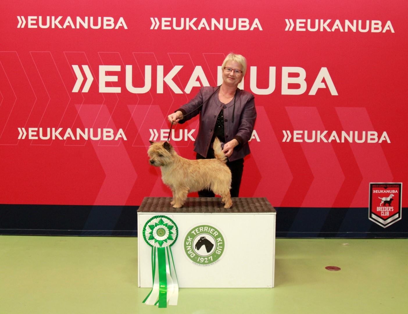 Årets Terrier nr. 4 2016