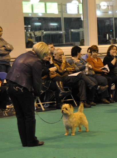 Crufts_-_RBCC