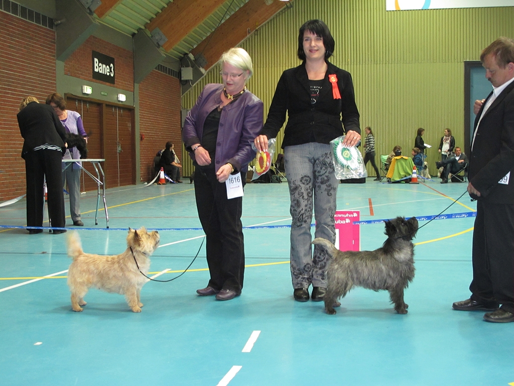 sensei's charlie's angles bob kristiansand norge 2010