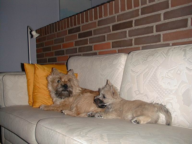 Sofahygge