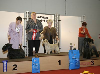 Resize_of_BIG_Letland