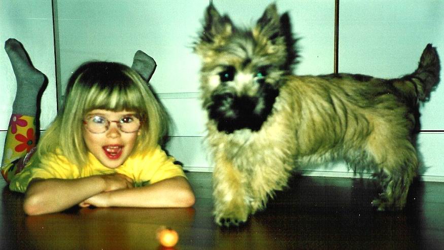 Kennel Nicktime Cairn - hund